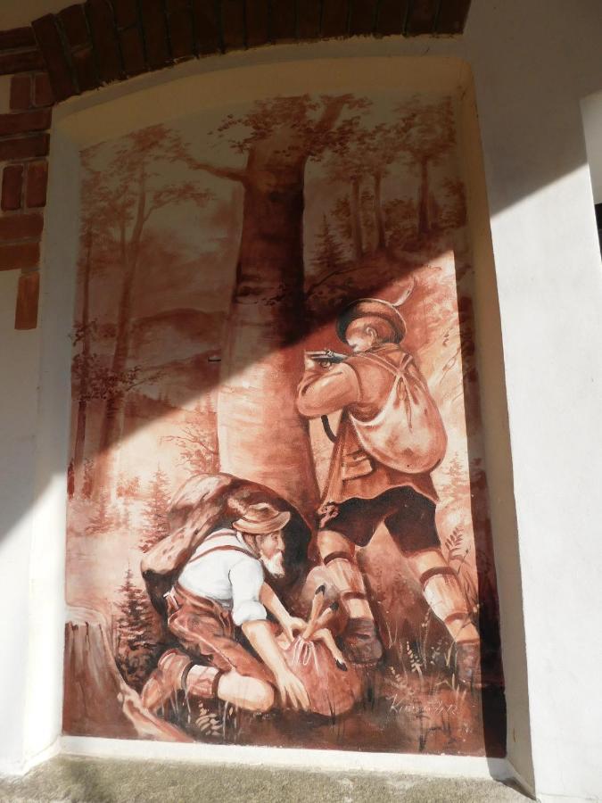 Pension U Mojmira Rokytnice nad Jizerou Buitenkant foto
