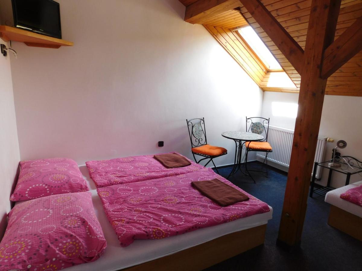 Pension U Mojmira Rokytnice nad Jizerou Buitenkant foto