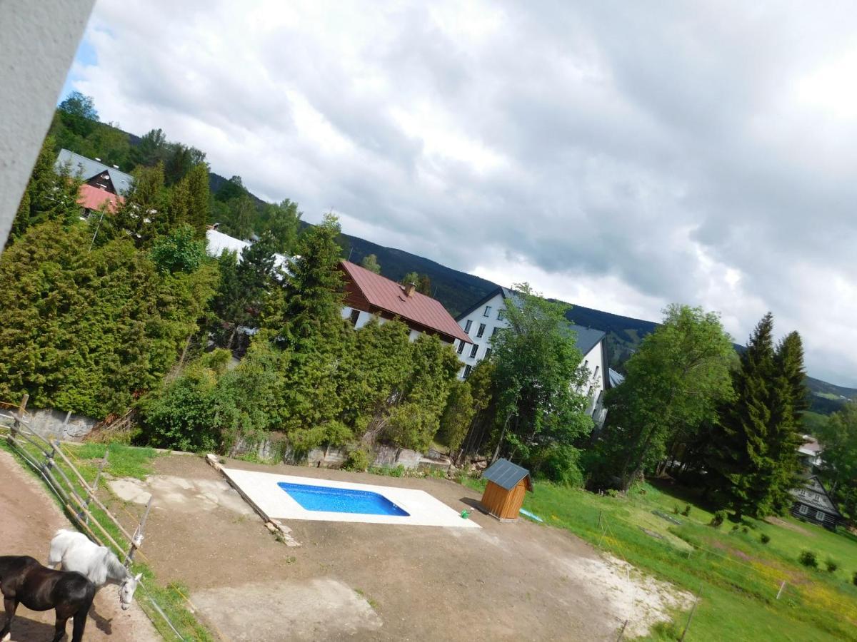 Pension U Mojmira Rokytnice nad Jizerou Buitenkant foto